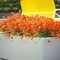 Artificial Fake Flowers, 12 Bundles Outdoor UV Resistant Greenery Shrubs Plants Indoor Outside Hanging Planter Home Garden Décor (Orange)